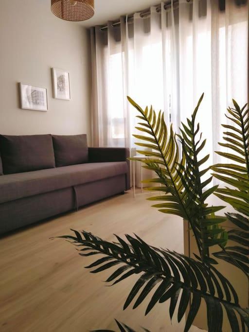Апартаменти La Terraza De La Vega - Ubicacion Inmejorable , Wifi , Terraza Y Parking Gratuito Ов'єдо Екстер'єр фото